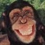 Avatar de granbonobo